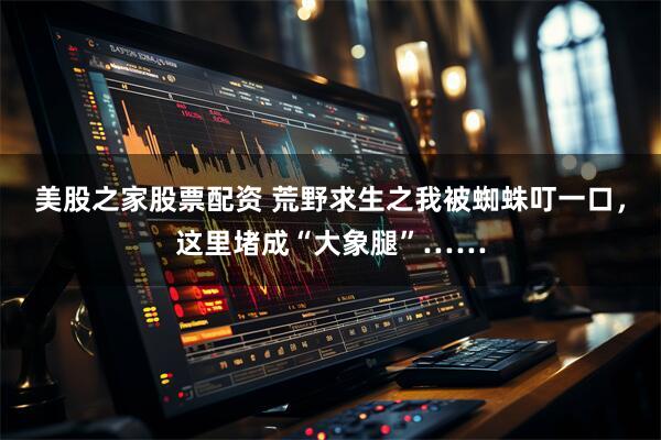 美股之家股票配资 荒野求生之我被蜘蛛叮一口，这里堵成“大象腿”……